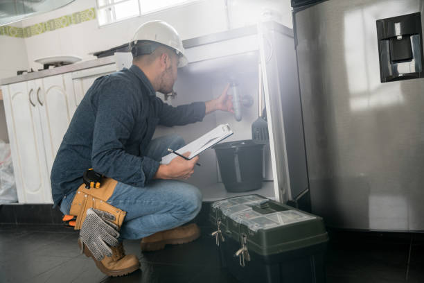 Best Affordable Plumber Near Me  in Roanoke, IL