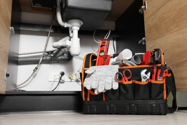 Best Best Plumbers Near Me  in Roanoke, IL