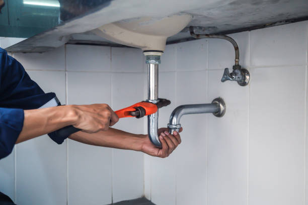 Best Sewer Line Repair  in Roanoke, IL