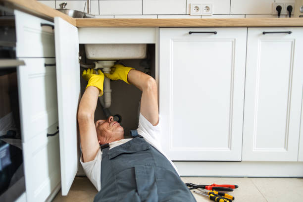  Roanoke, IL Plumbing Pros