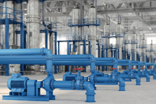 Best Affordable Plumbing Services  in Roanoke, IL