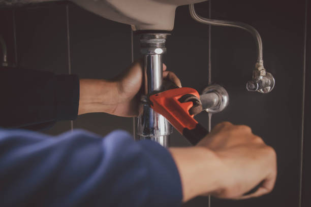 Best Residential Plumbing Services  in Roanoke, IL