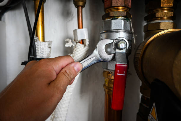 Best Faucet Repair  in Roanoke, IL